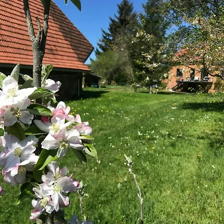 Дом отдыха The Grange In Cantal La Bastide-du-Haut-Mont