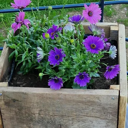 The Grange In Cantal *