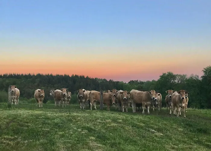 The Grange In Cantal Сasa de vacaciones
