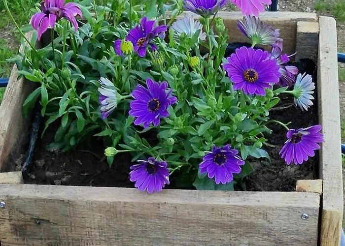 Сasa de vacaciones The Grange In Cantal